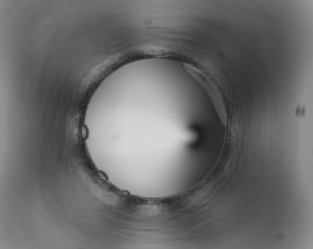 X0000112430404200909041441