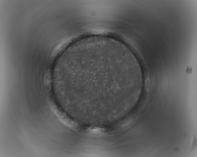 X0000112430407200909041441
