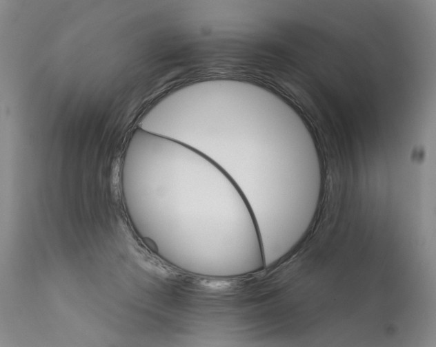 X0000112430409200909041441