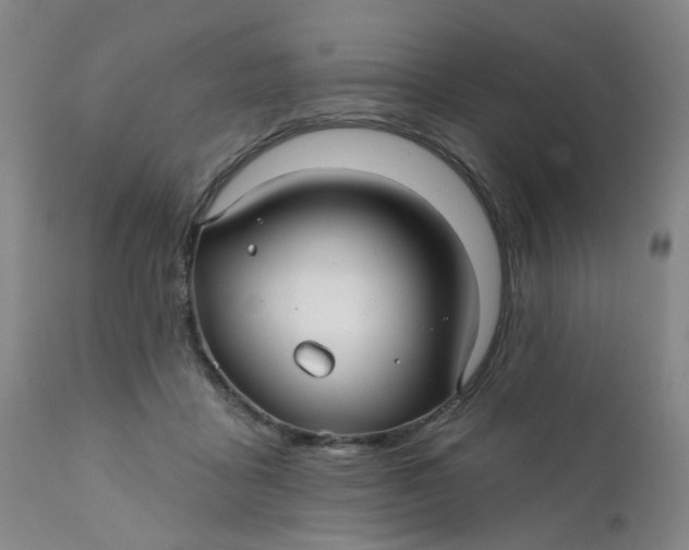 X0000112430411200909041441