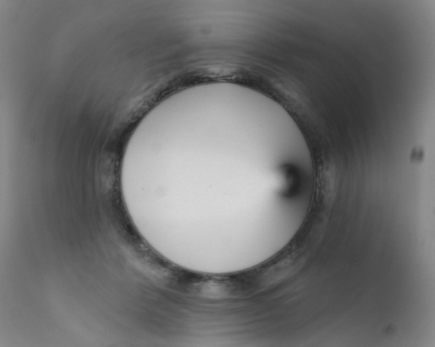X0000112430412200909041441