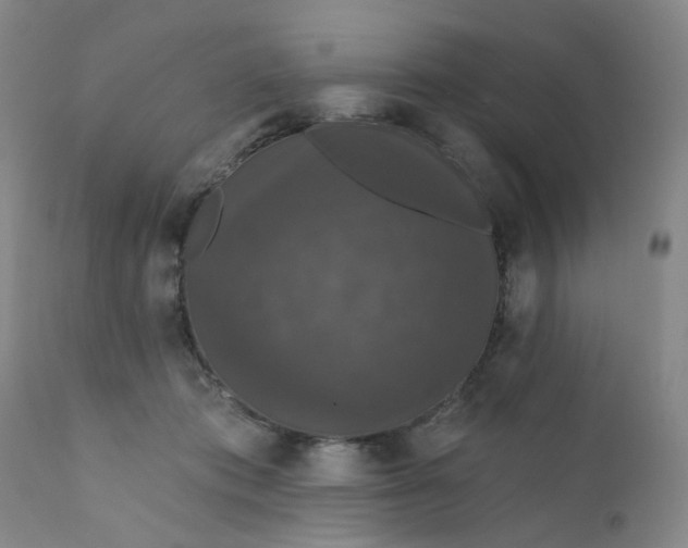X0000112430413200909041441