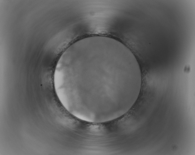 X0000112430415200909041441