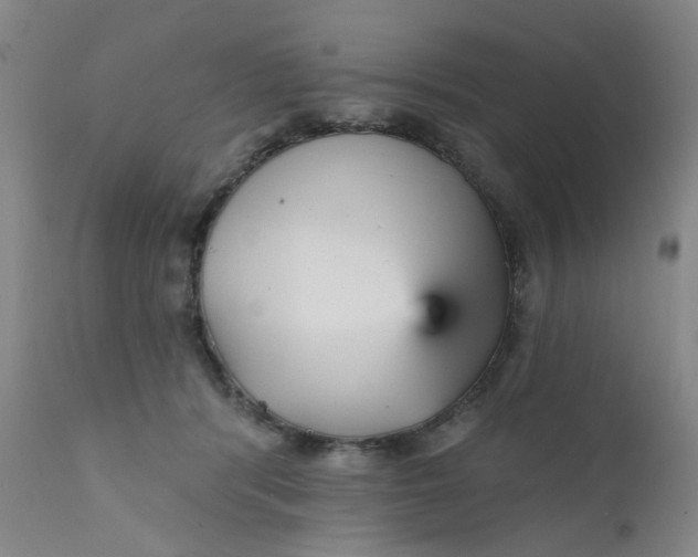 X0000112430416200909041441