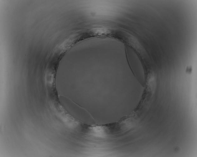 X0000112430417200909041441