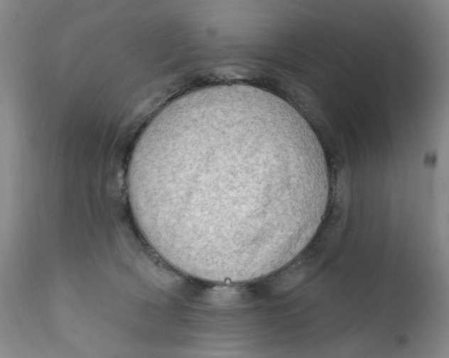 X0000112430418200909041441
