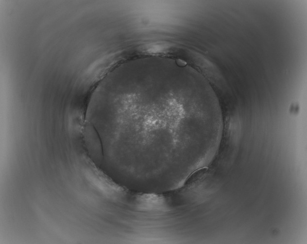 X0000112430421200909041441