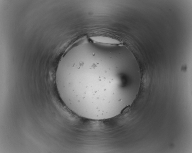 X0000112430424200909041441