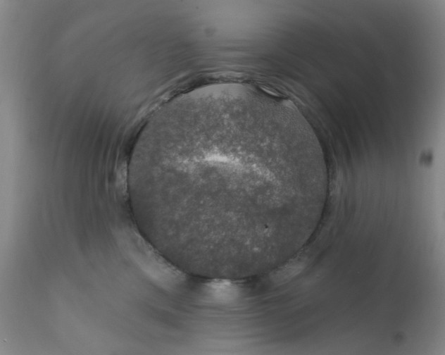 X0000112430425200909041441