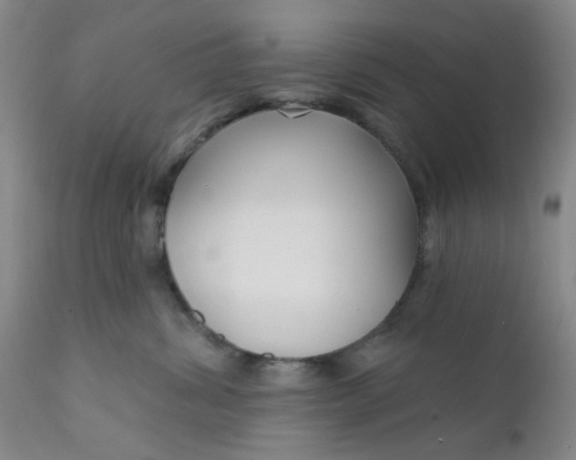 X0000112430428200909041441