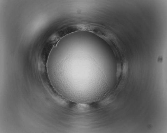 X0000112430429200909041441