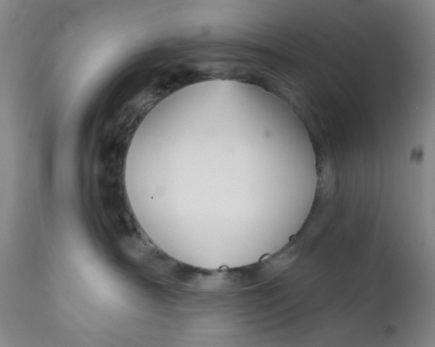X0000112430430200909041440