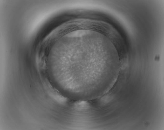 X0000112430431200909041440