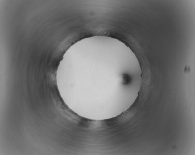 X0000112430432200909041440