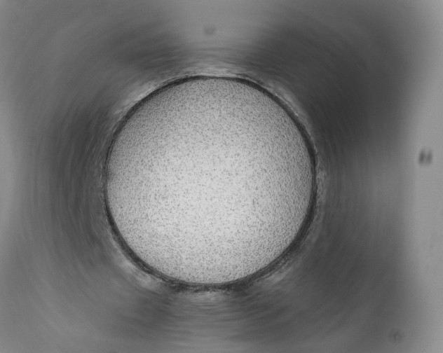 X0000112430433200909041440