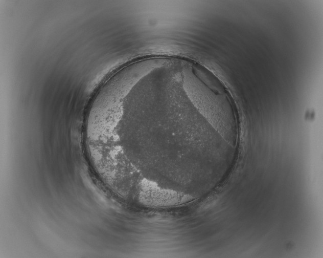 X0000112430434200909041440