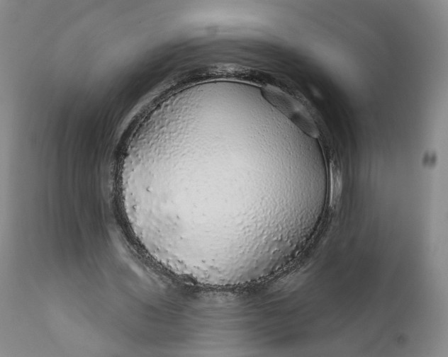 X0000112430435200909041440