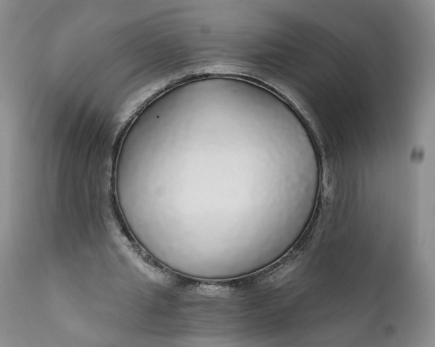 X0000112430437200909041440