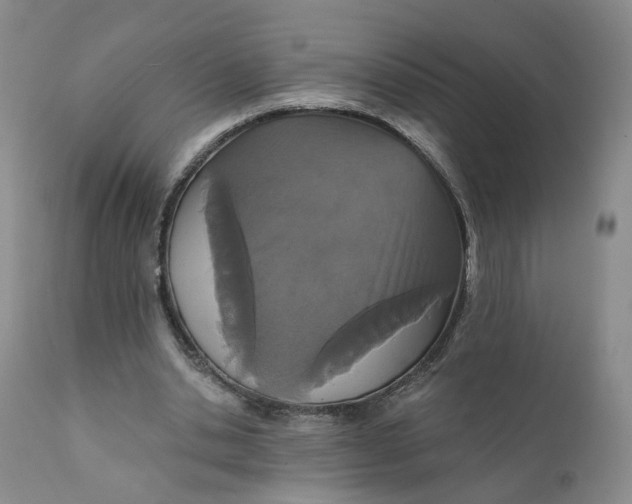 X0000112430438200909041440