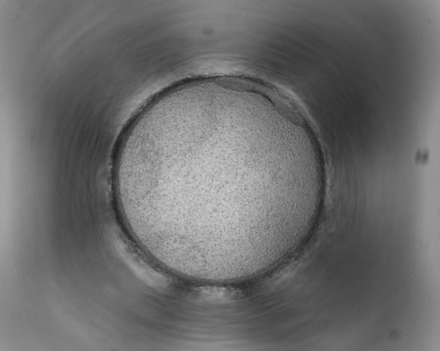X0000112430439200909041440
