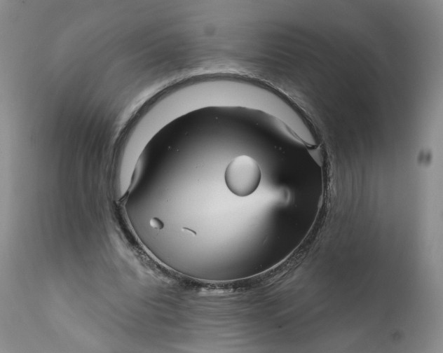 X0000112430440200909041440