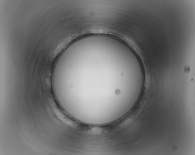 X0000112430441200909041440