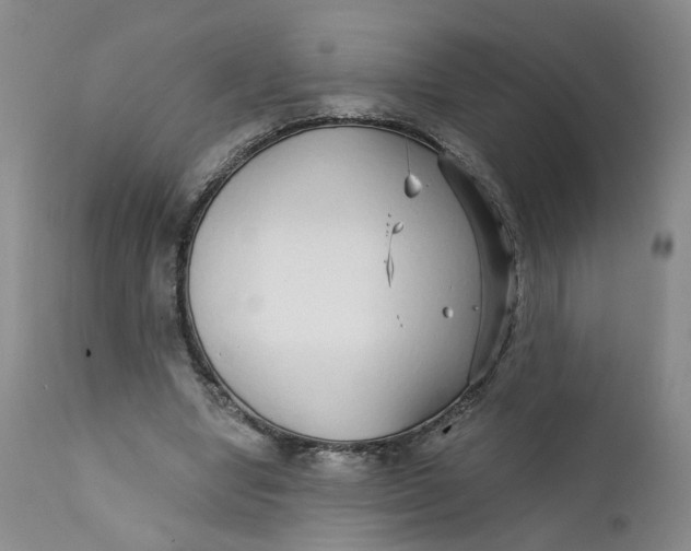 X0000112430442200909041440