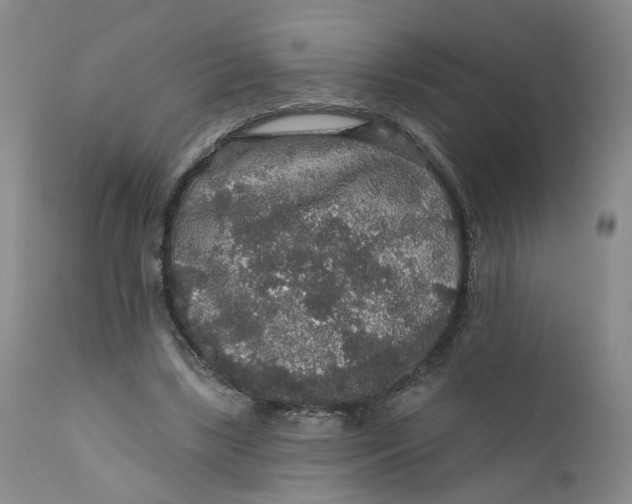 X0000112430443200909041440