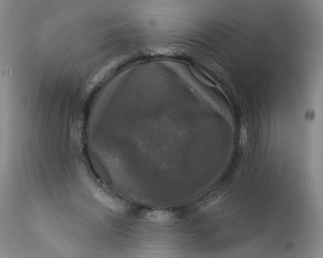 X0000112430444200909041440