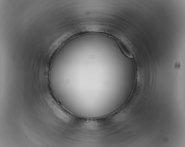 X0000112430445200909041440