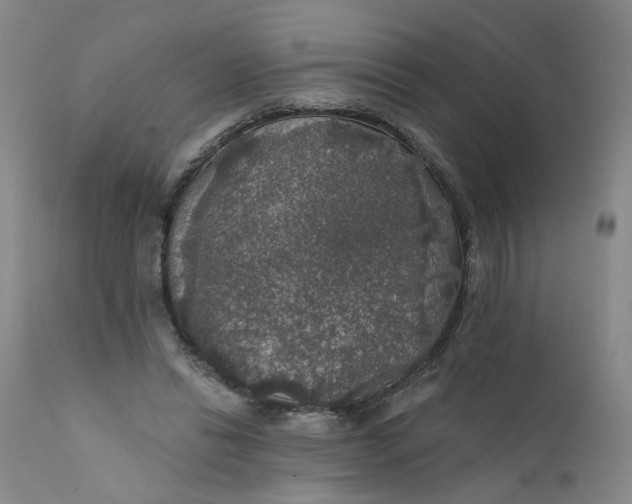 X0000112430446200909041440
