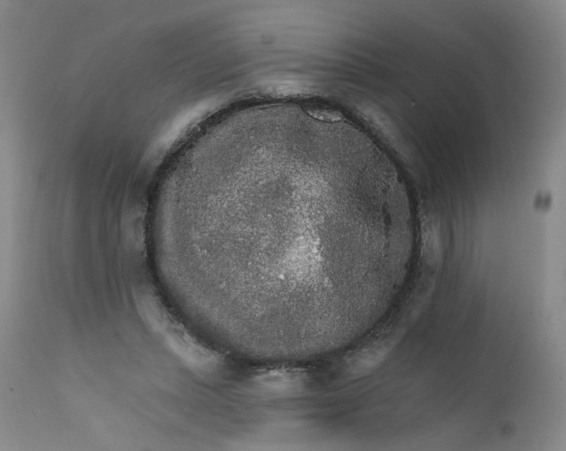 X0000112430447200909041440