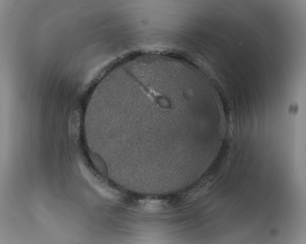 X0000112430448200909041440