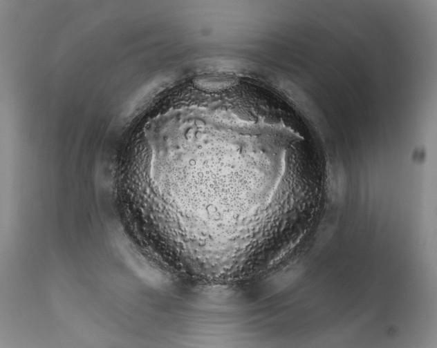 X0000112430449200909041440