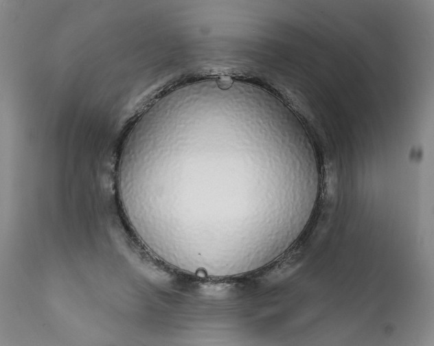 X0000112430450200909041440