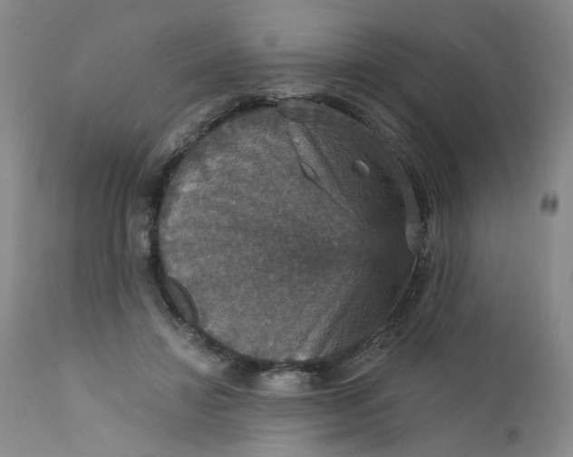 X0000112430452200909041440