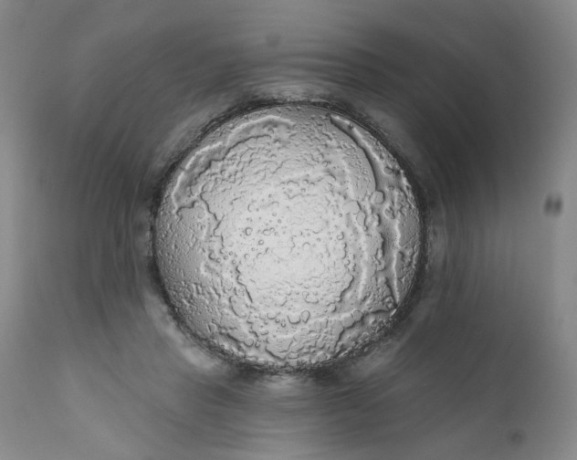 X0000112430453200909041440