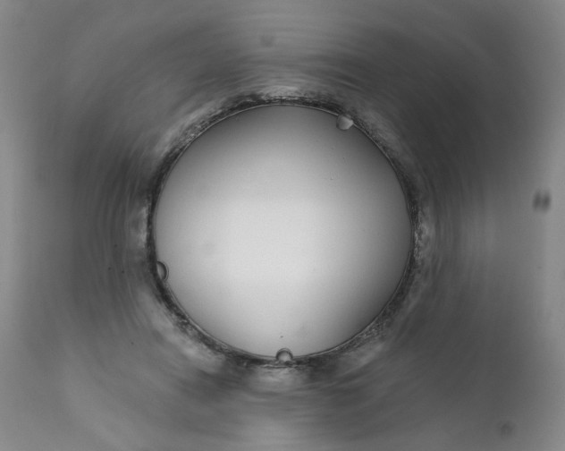 X0000112430454200909041440