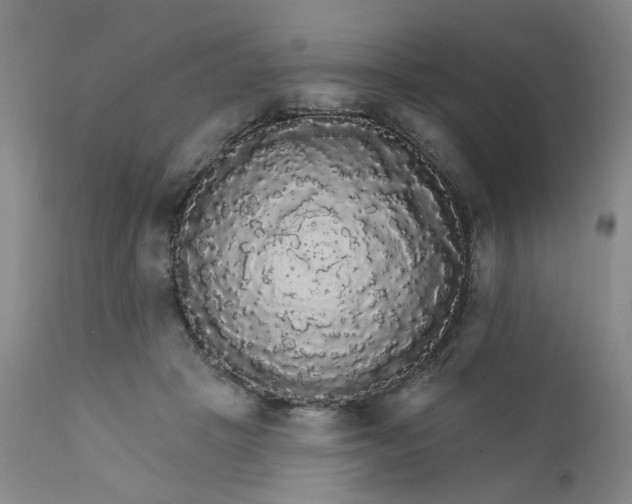 X0000112430457200909041440