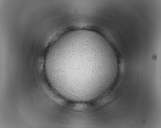 X0000112430458200909041440