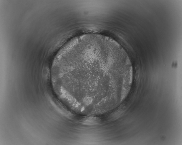 X0000112430459200909041440