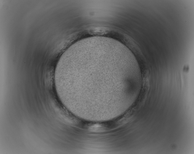 X0000112430460200909041440