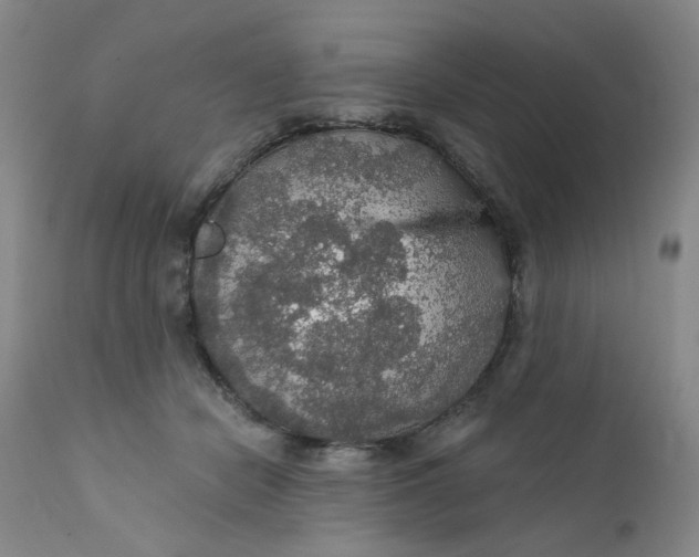 X0000112430462200909041440