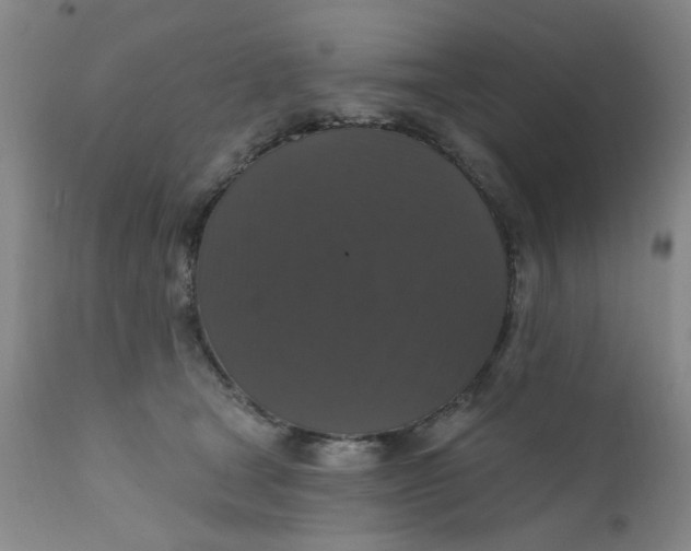 X0000112430465200909041440