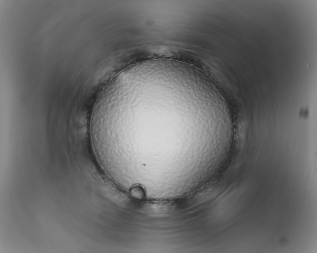 X0000112430466200909041440