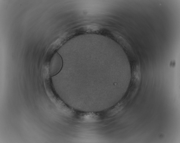 X0000112430468200909041440