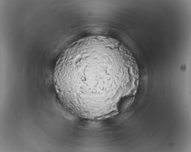 X0000112430469200909041440