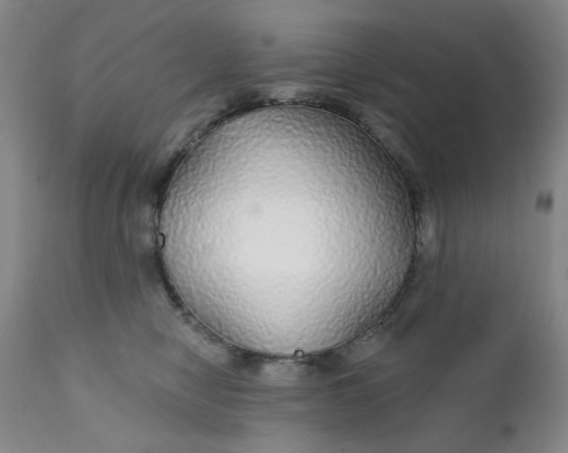 X0000112430470200909041440