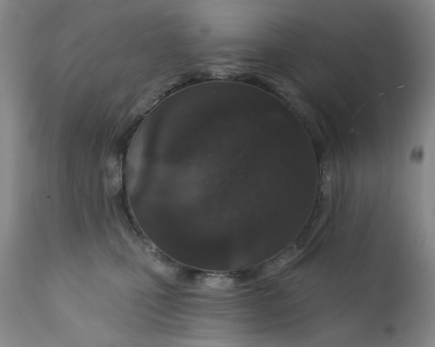 X0000112430471200909041440