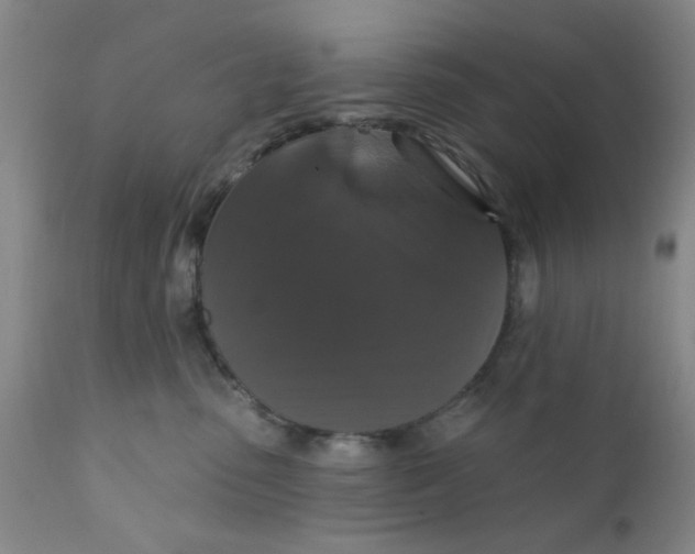 X0000112430475200909041440